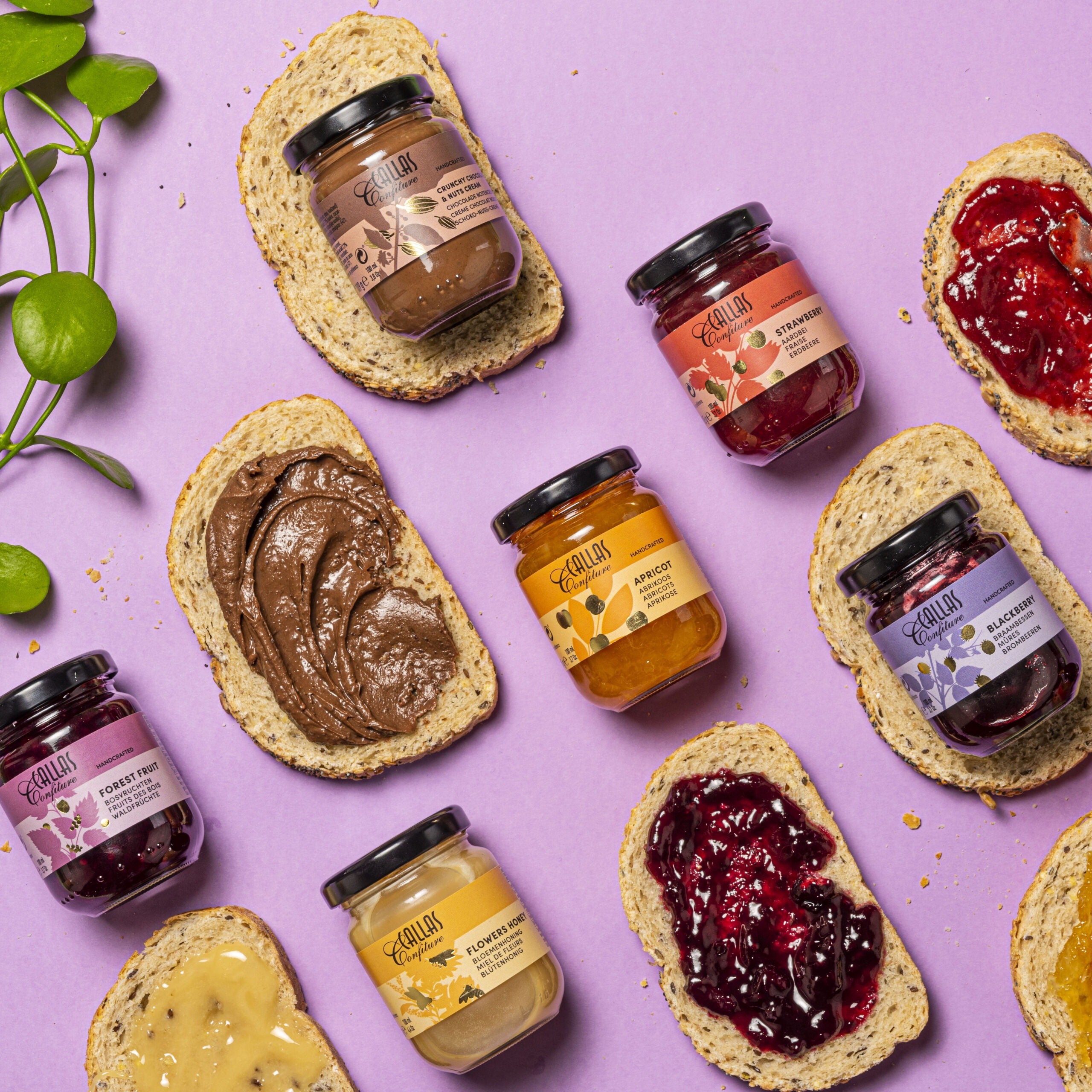 Ontbijtpakket + GRATIS Mepal lunchbox